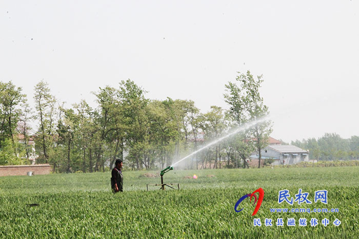 花園鄉(xiāng)：搞好小麥管理  確保豐產(chǎn)豐收