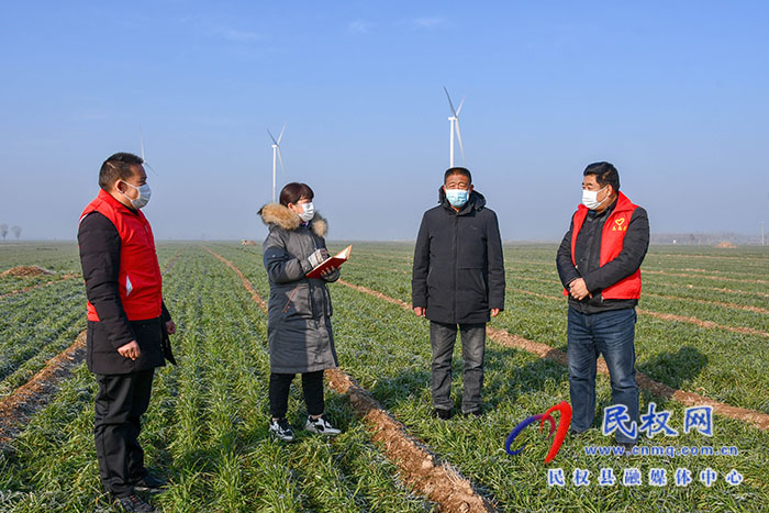 民權縣人和鎮(zhèn)：加強冬季麥田管理，確保小麥安全越冬