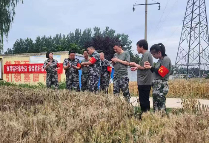 王橋鎮(zhèn)多措并舉抓好“三夏“生產(chǎn)