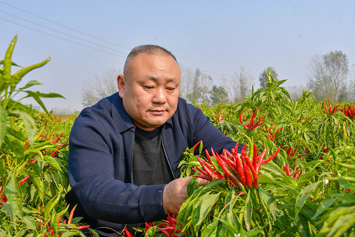 市勞動模范趙轉(zhuǎn)運