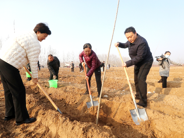 民權(quán)縣開展2024年春季義務(wù)植樹活動(dòng)