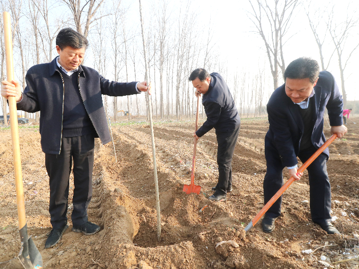 民權(quán)縣開展2024年春季義務(wù)植樹活動(dòng)