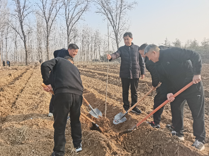 民權(quán)縣開展2024年春季義務(wù)植樹活動(dòng)