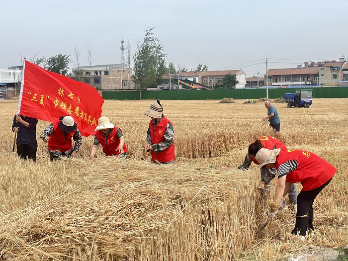 民權縣婦聯(lián)組織巾幗志愿者助力秸稈禁燒及“三夏”生產(chǎn)